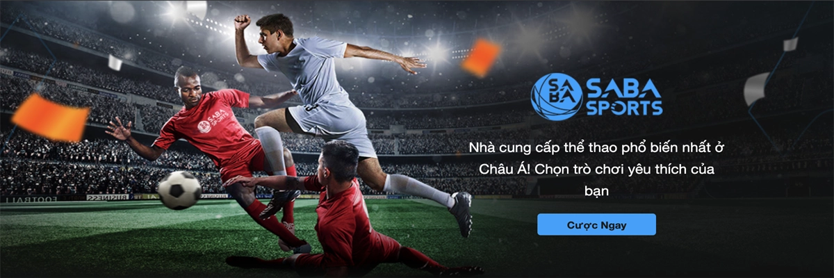 dịch vụ cá cược thể thao